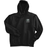 FRC Colts Neck Ultimate Cotton - Pullover Hooded Sweatshirt