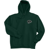 FRC Raritan Rockets Ultimate Cotton - Pullover Hooded Sweatshirt