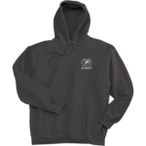 FRC Colts Neck Ultimate Cotton - Pullover Hooded Sweatshirt