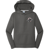 Allegheny Badgers Youth Performance Fleece Pullover Hooded Sweatshirt