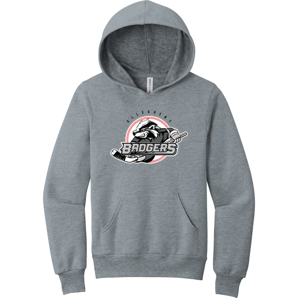 Allegheny Badgers Youth Sponge Fleece Pullover Hoodie